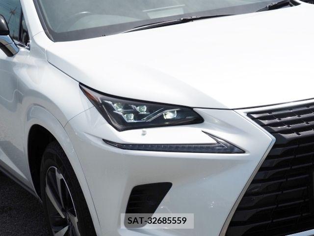 Lexus NX 2021-06 354339-7