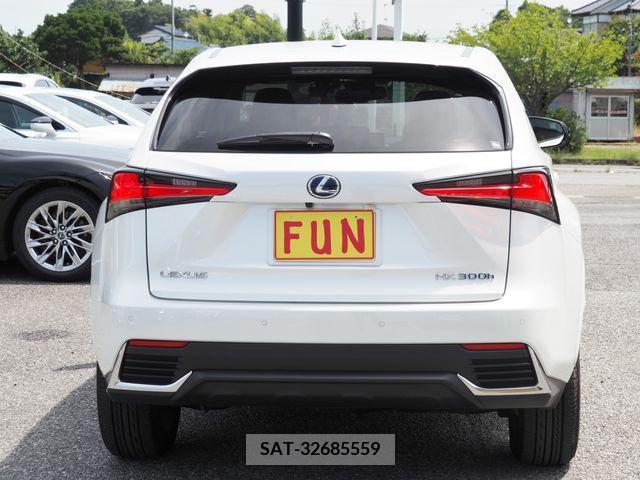 Lexus NX 2021-06 354339-6