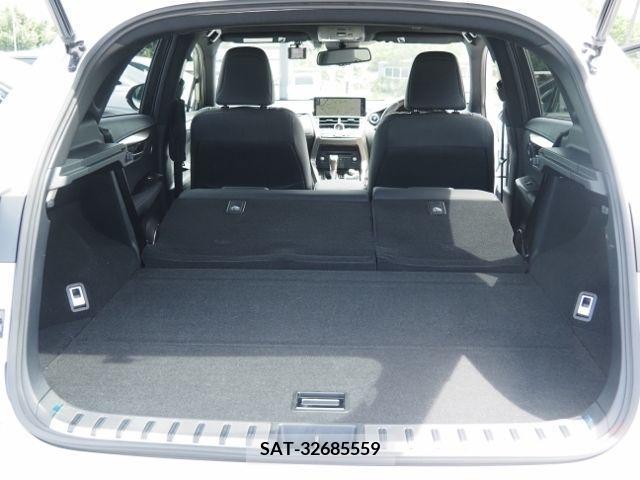 Lexus NX 2021-06 354339-15