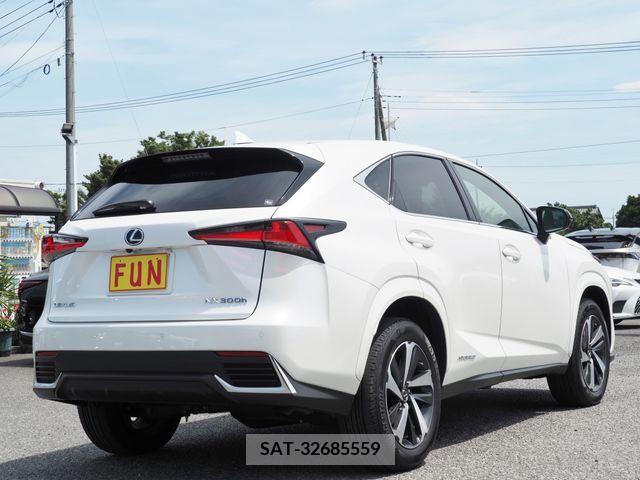Lexus NX 2021-06 354339-4
