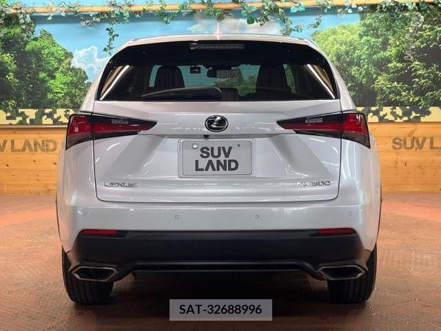 Lexus NX 2021-04 388210-15