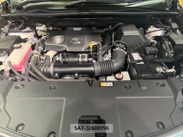 Lexus NX 2021-04 388210-18