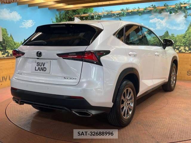 Lexus NX 2021-04 388210-17