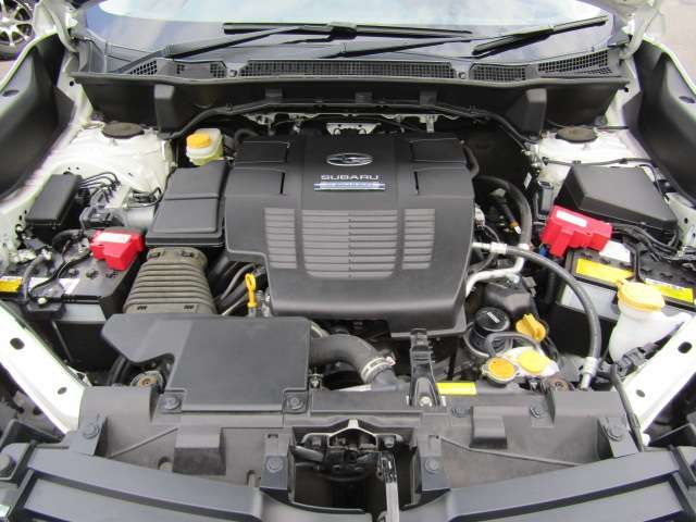 Subaru FORESTER 2018-10 15273-19