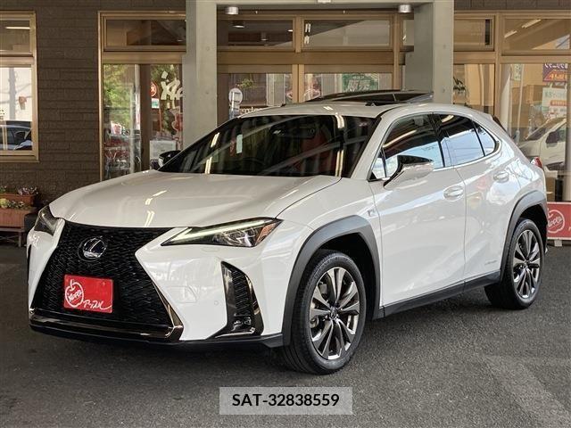Lexus UX 2021-07 313525-0