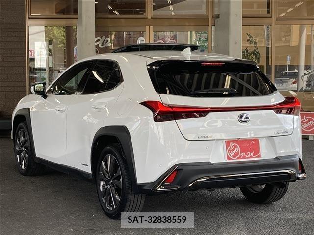 Lexus UX 2021-07 313525-3