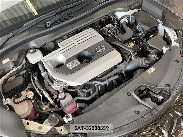 Lexus UX 2021-07 313525-17