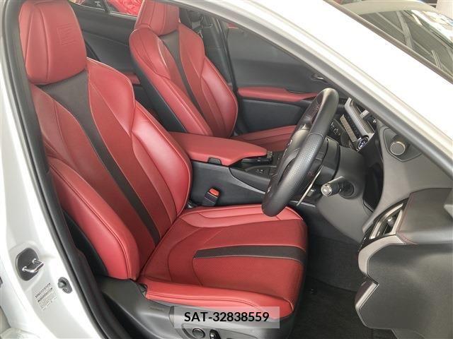 Lexus UX 2021-07 313525-11