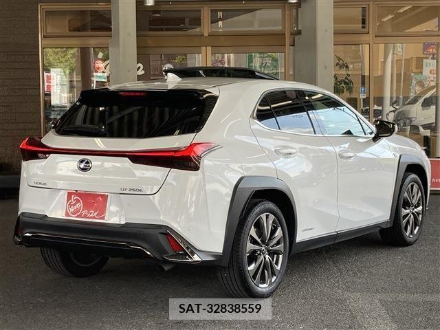 Lexus UX 2021-07 313525-2