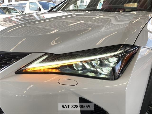 Lexus UX 2021-07 313525-16