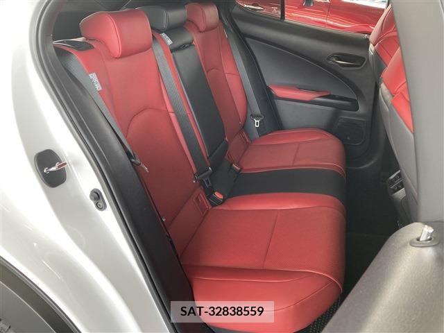 Lexus UX 2021-07 313525-12