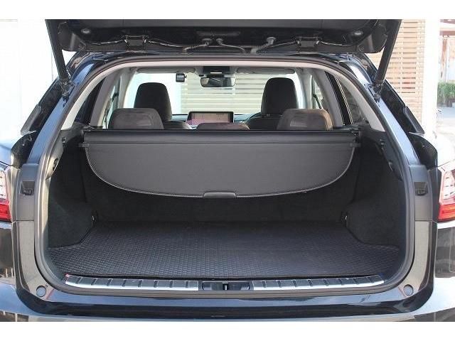 Lexus RX 2016-04 27282-16