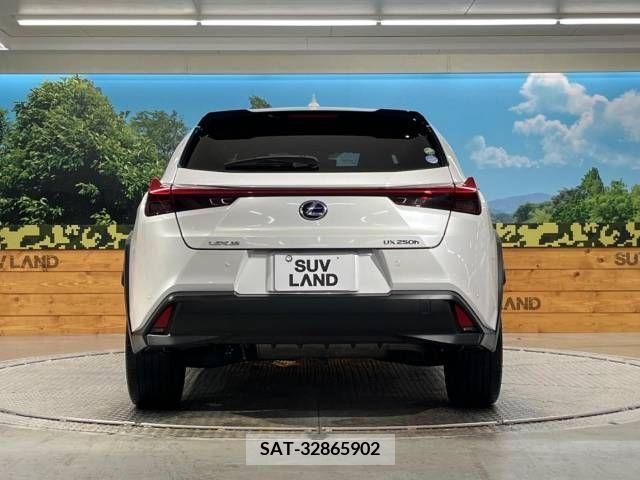 Lexus UX 2019-03 313527-15