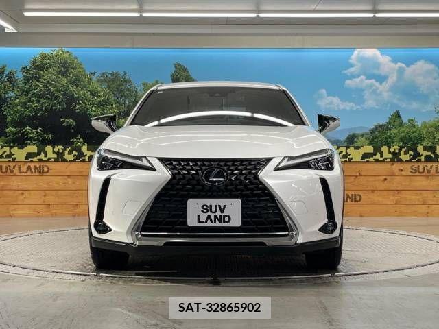 Lexus UX 2019-03 313527-14