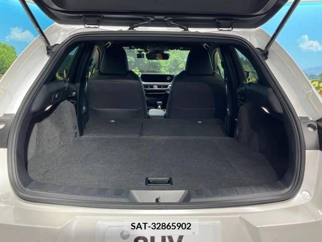 Lexus UX 2019-03 313527-10