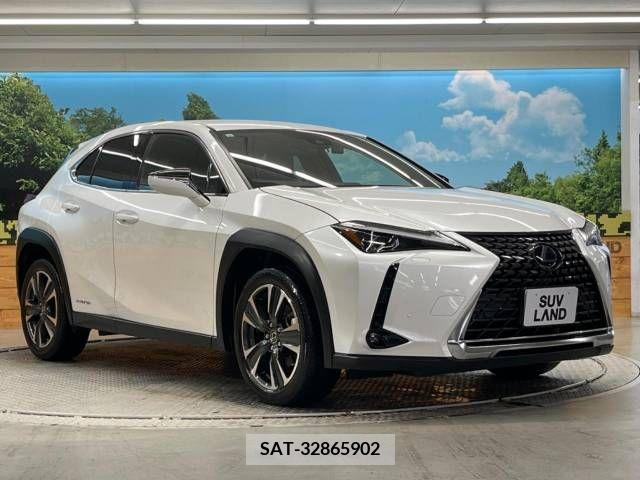 Lexus UX 2019-03 313527-16
