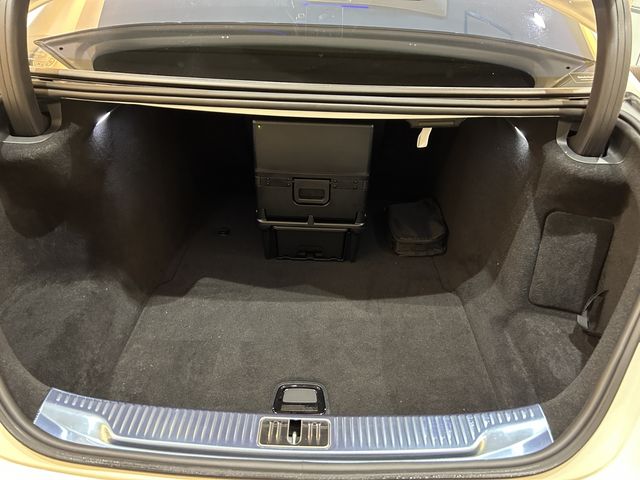 Mercedes Benz S-CLASS 2022-01 4125-10