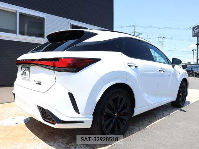 Lexus RX 2023-01 388395-6
