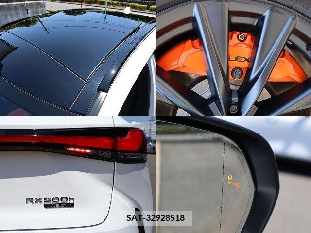 Lexus RX 2023-01 388395-27