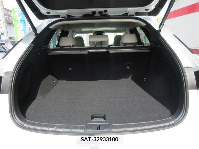 Lexus RX 2023-11 354221-13