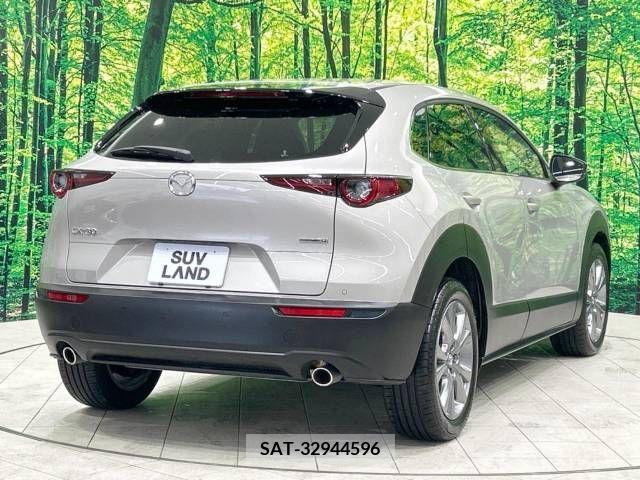 Mazda CX-30 2022-10 265587-17