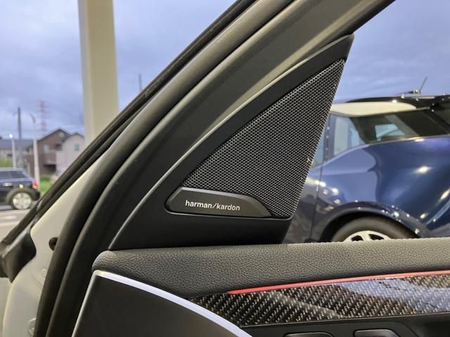 Bmw X4 2019-10 17419-20