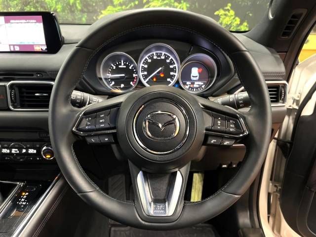 Mazda CX-8 2018-09 19062-13