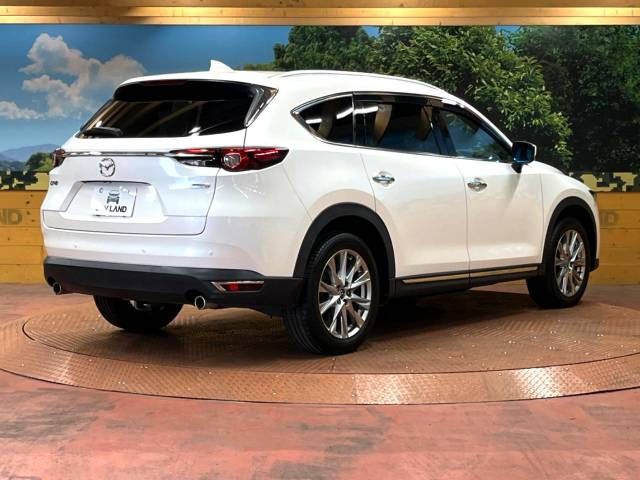 Mazda CX-8 2018-09 19062-19