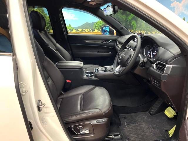 Mazda CX-8 2018-09 19062-9