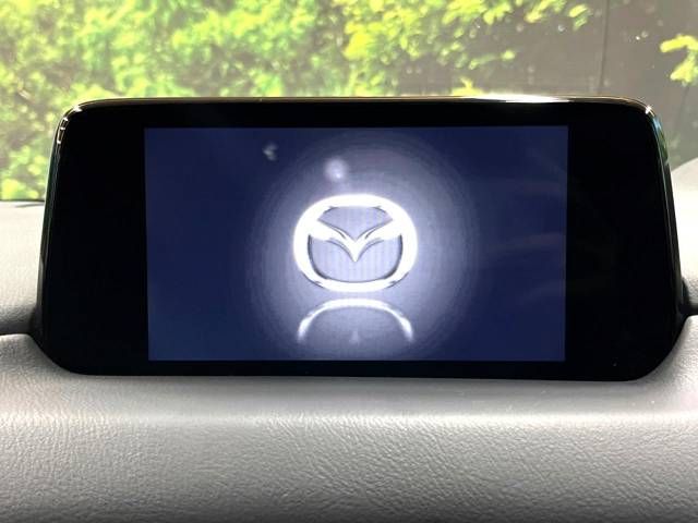 Mazda CX-8 2018-09 19062-2