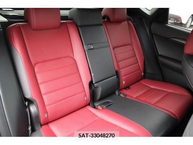 Lexus NX 2015-12 388240-14