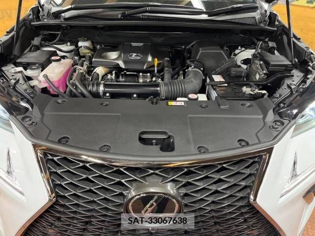 Lexus NX 2020-10 299755-18