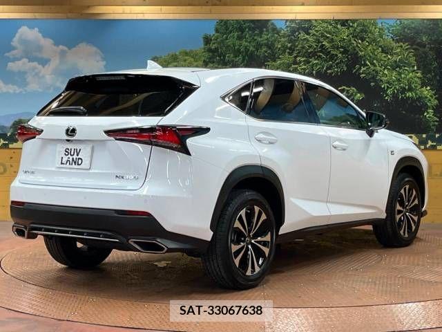 Lexus NX 2020-10 299755-17