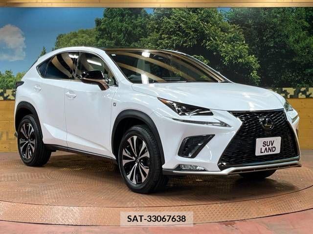 Lexus NX 2020-10 299755-16