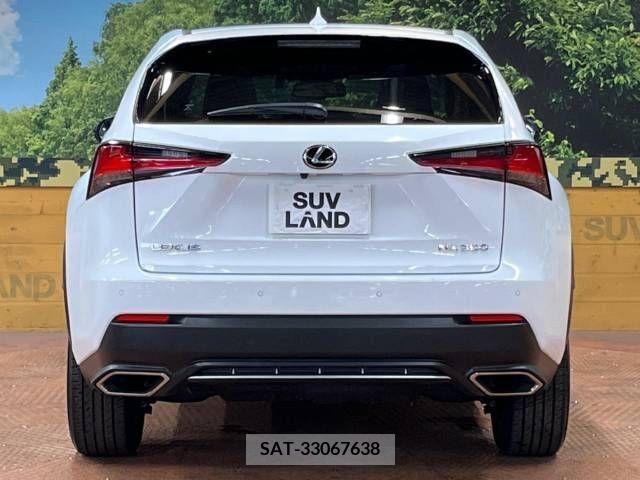 Lexus NX 2020-10 299755-15
