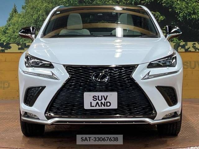 Lexus NX 2020-10 299755-14