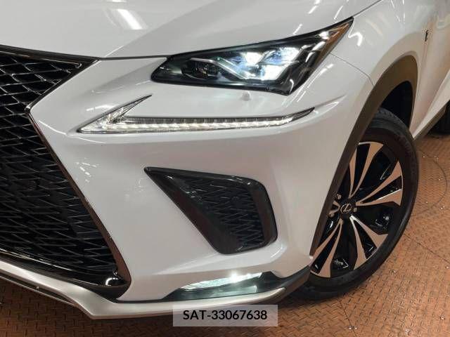 Lexus NX 2020-10 299755-12