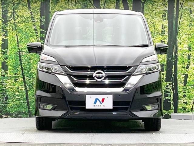 Nissan SERENA 2019-03 28177-17