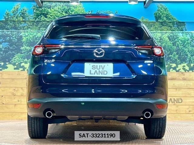 Mazda CX-8 2018-05 375016-17
