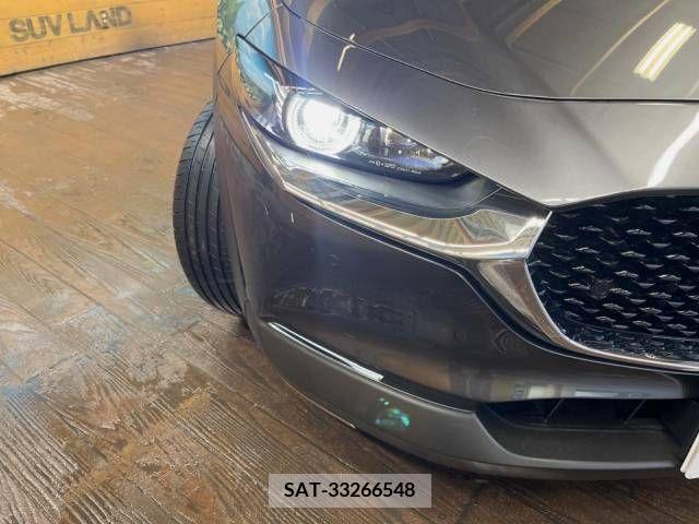 Mazda CX-30 2021-12 265984-13