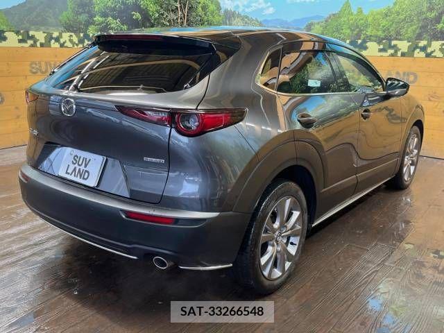 Mazda CX-30 2021-12 265984-18