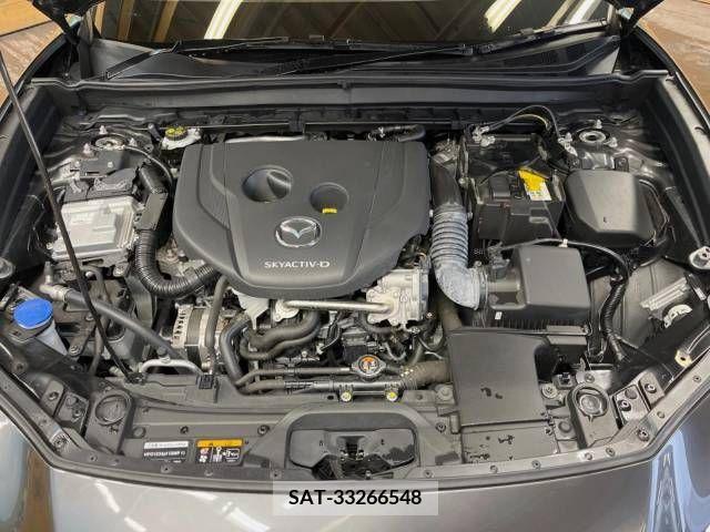 Mazda CX-30 2021-12 265984-19