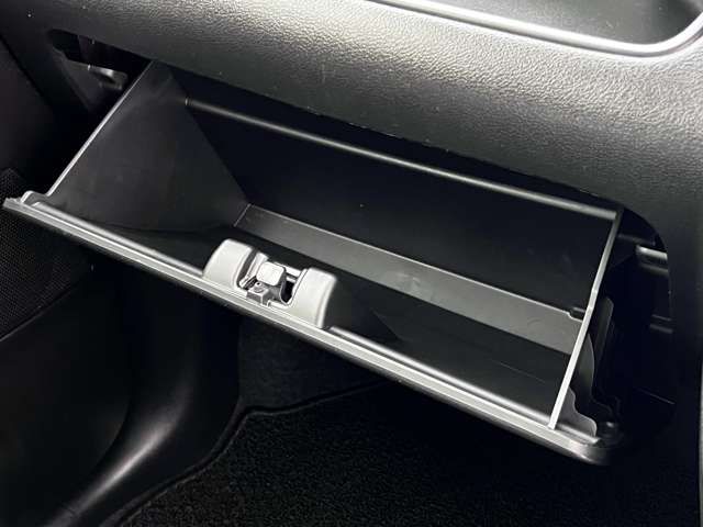 Suzuki SOLIO 2017-03 8268-16