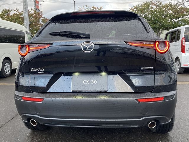 Mazda CX-30 2021-02 20583-5