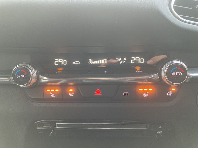 Mazda CX-30 2021-02 20583-22
