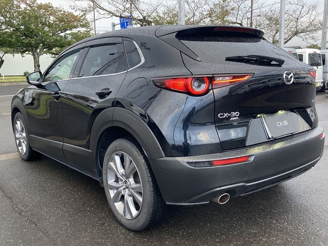Mazda CX-30 2021-02 20583-6
