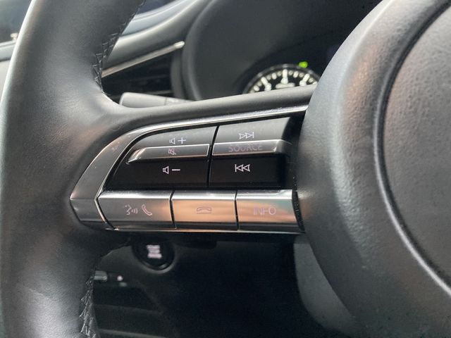 Mazda CX-30 2021-02 20583-15