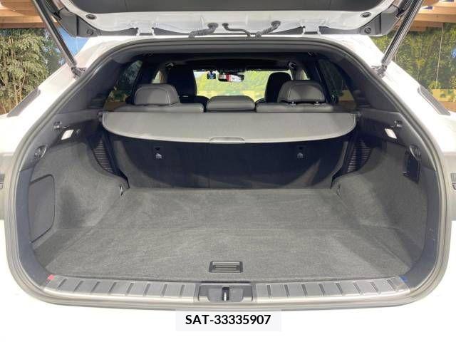 Lexus RX 2021-09 353935-13