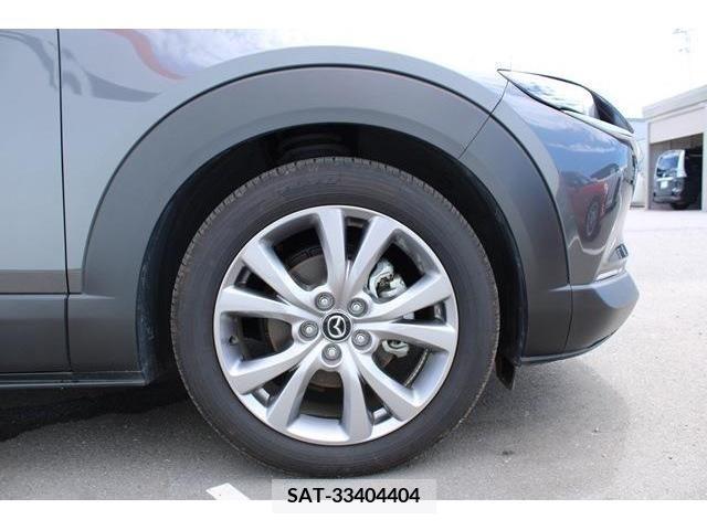 Mazda CX-30 2022-09 295617-11