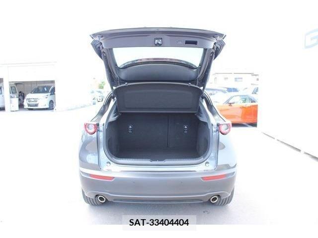 Mazda CX-30 2022-09 295617-12